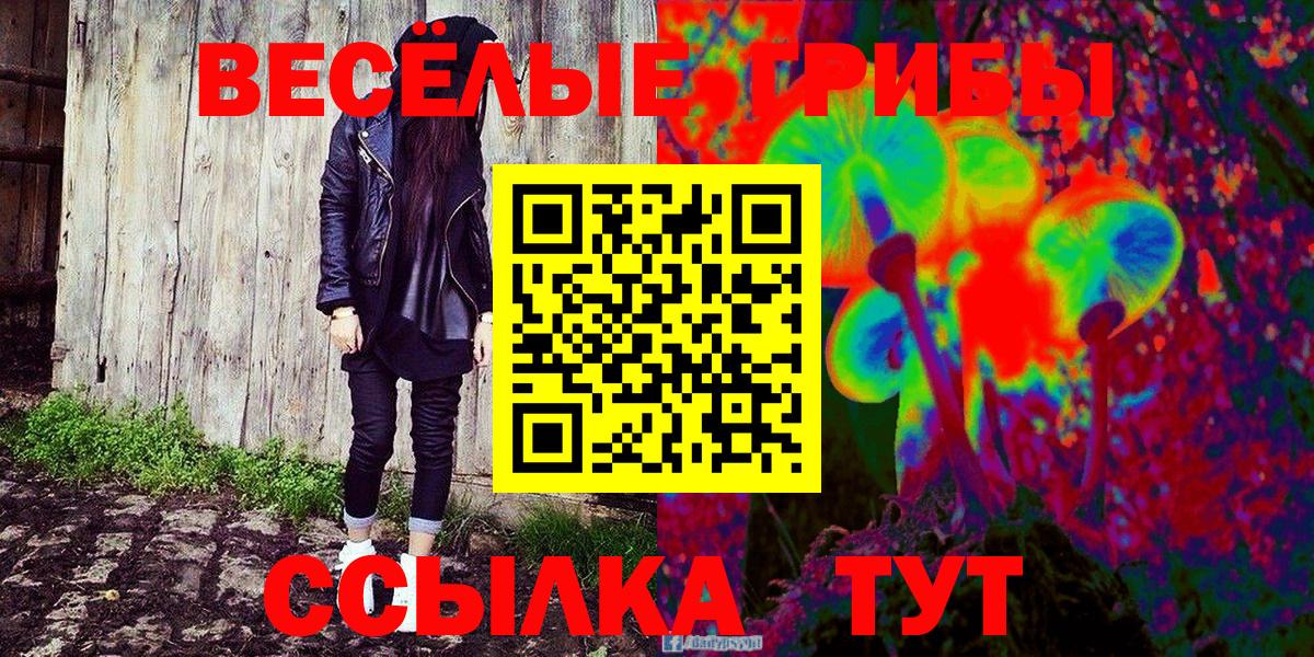 Галлюциногенные грибы MAGIC MUSHROOMS  Вход с VPN  Светлоград 