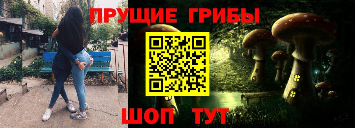 Псилоцибиновые грибы Cubensis Светлоград